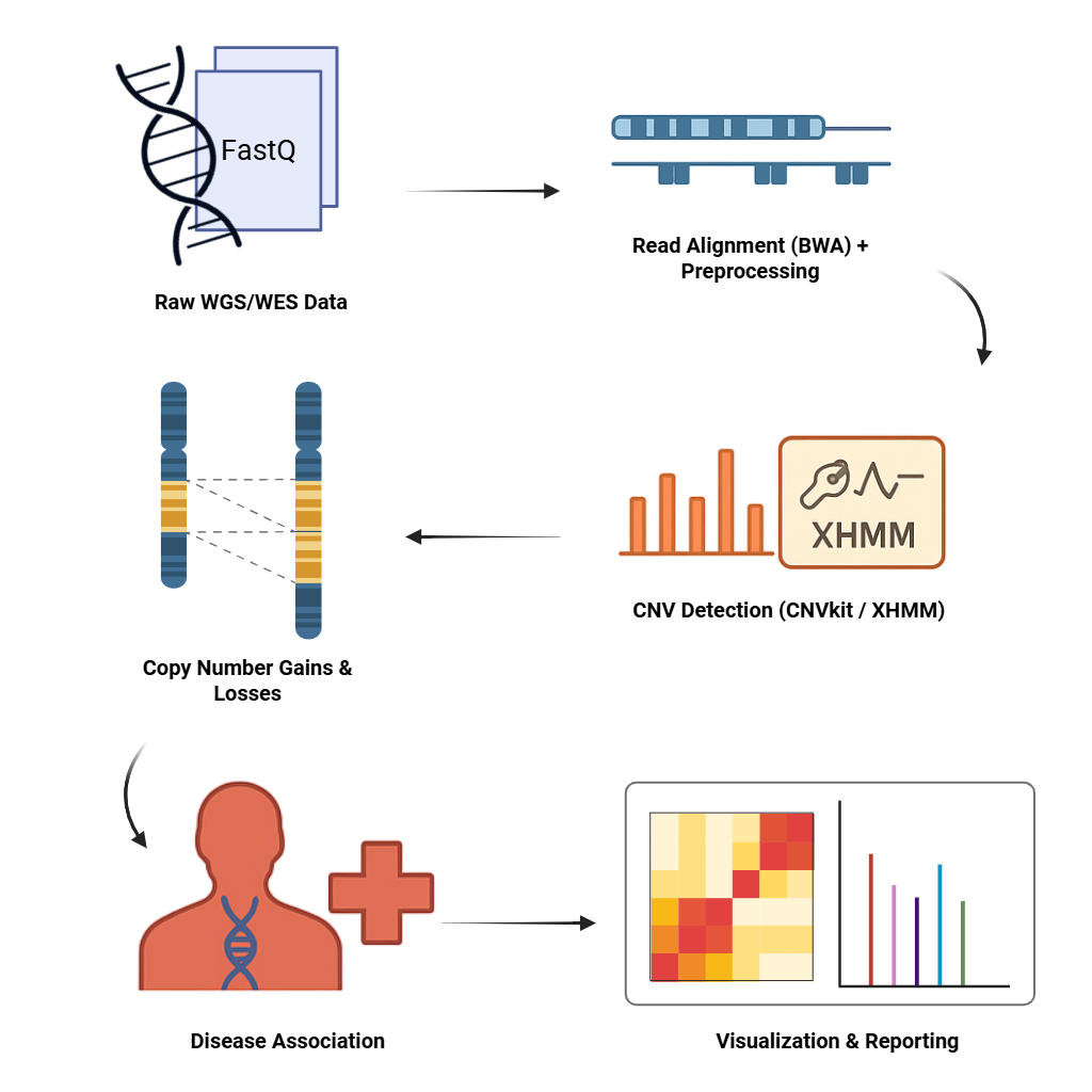 CNV Data Analysis