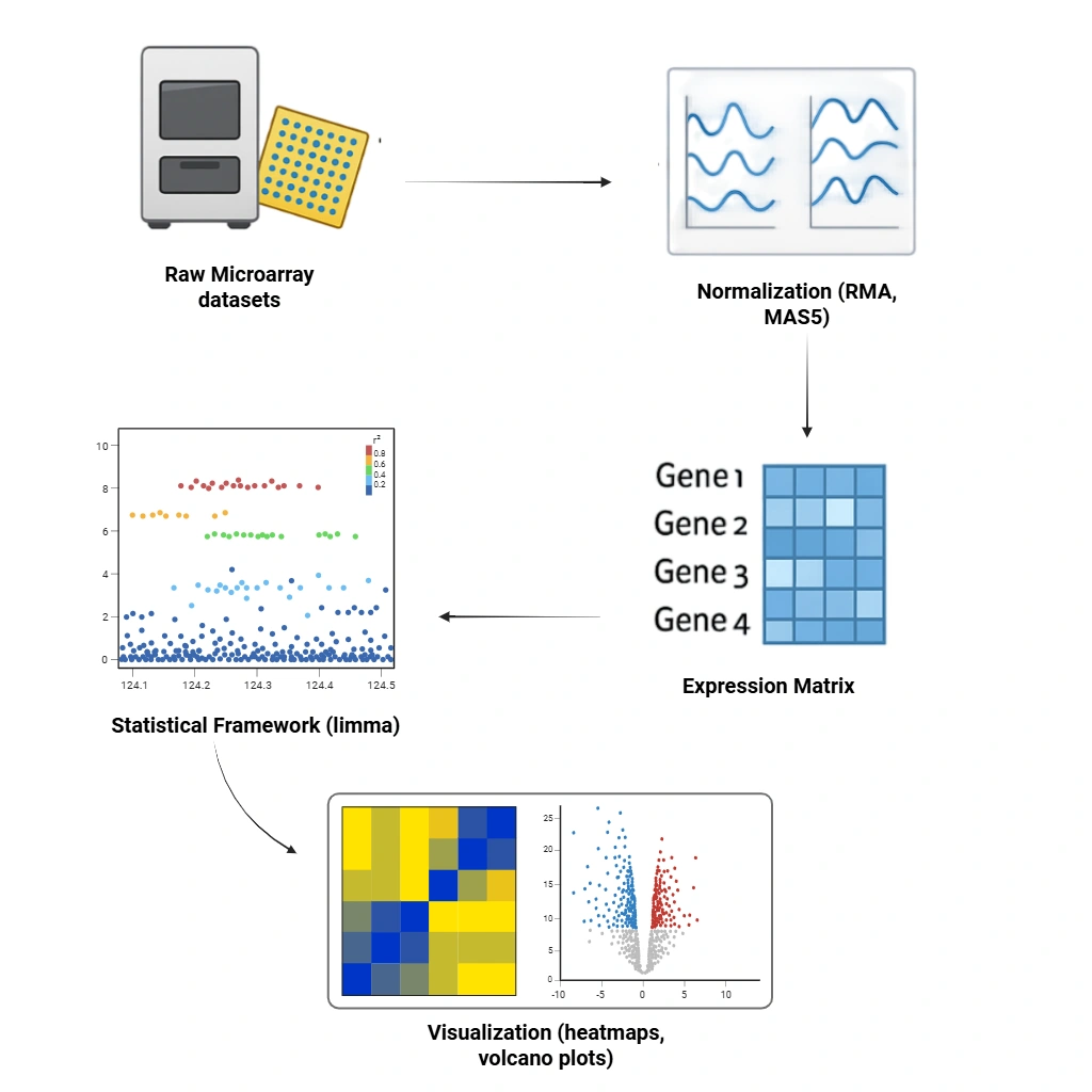 Microarray RNA Expression Data Analysis