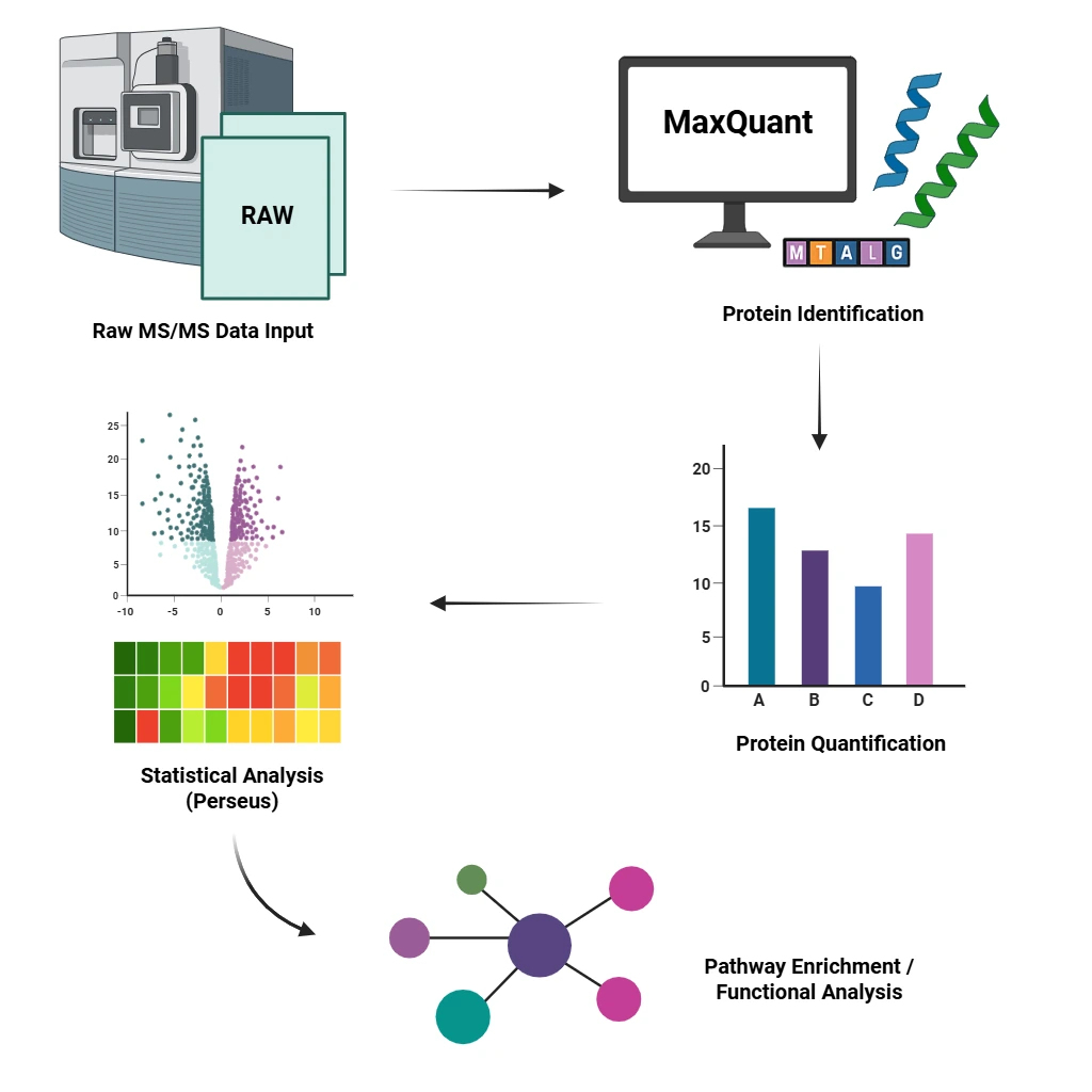 Proteomics Data Analysis