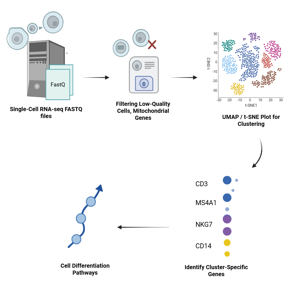 Single-Cell-Data-Analysis