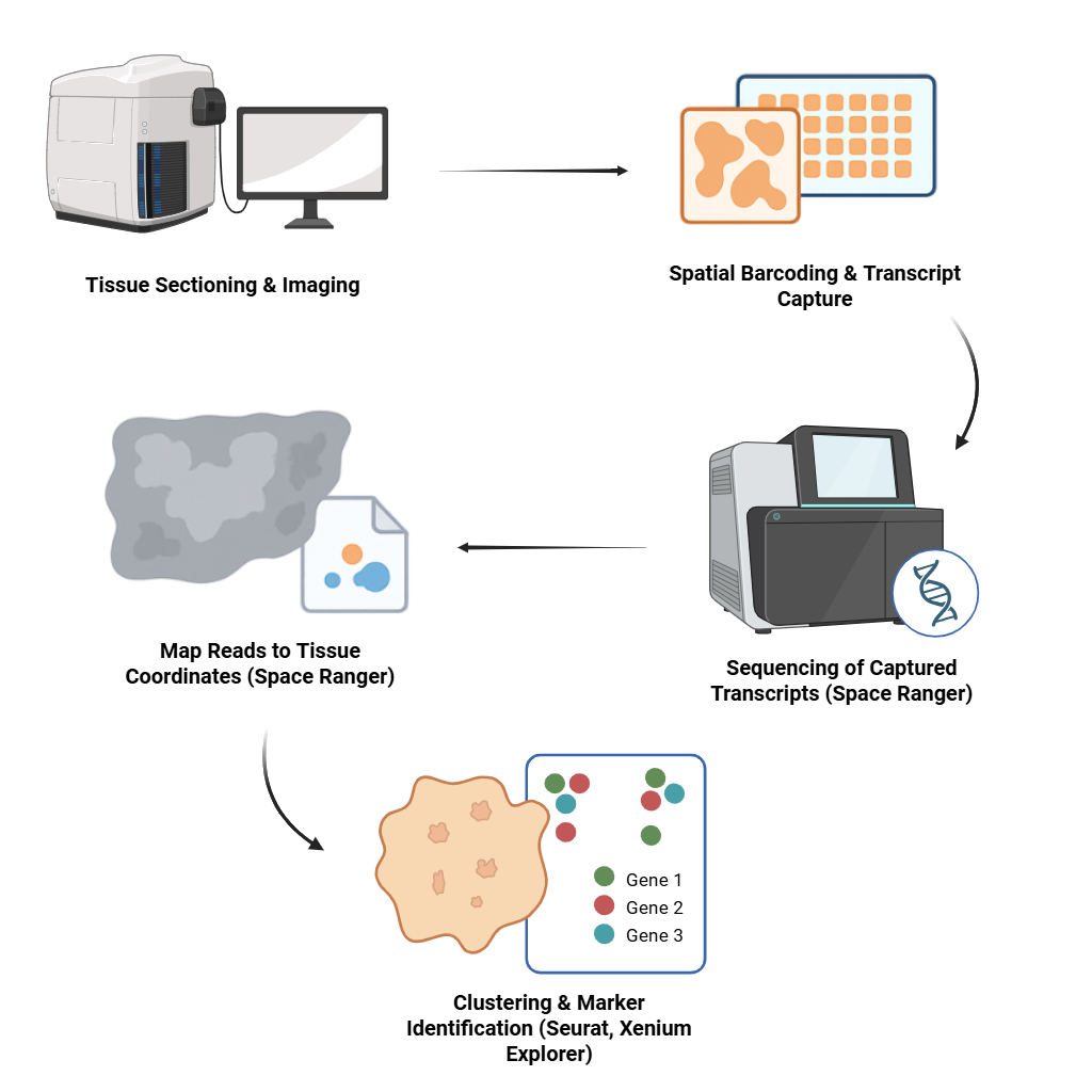 Spatial-Data-Analysis